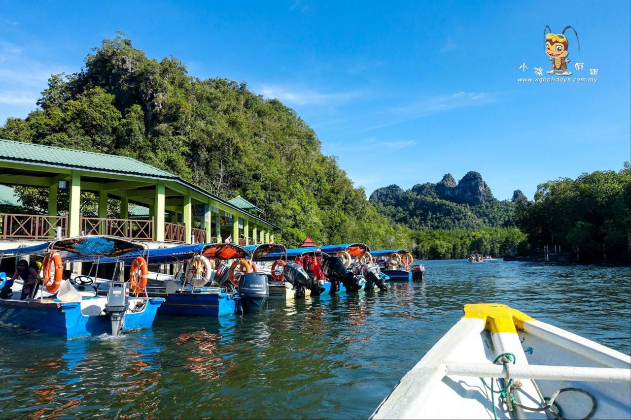 Jelajahi Mangrove Tour Langkawi: Ekosistem Pesisir yang Menakjubkan